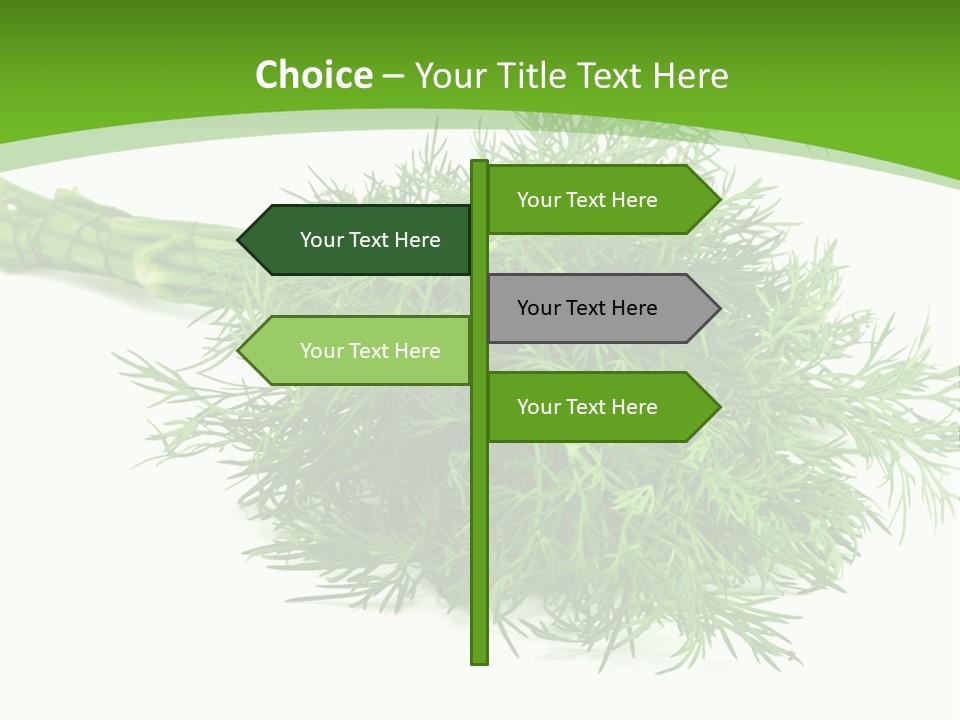 A Bunch Of Green Herbs On A White Background PowerPoint Template