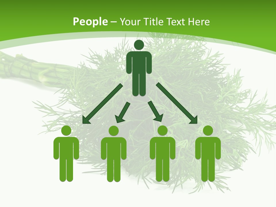A Bunch Of Green Herbs On A White Background PowerPoint Template