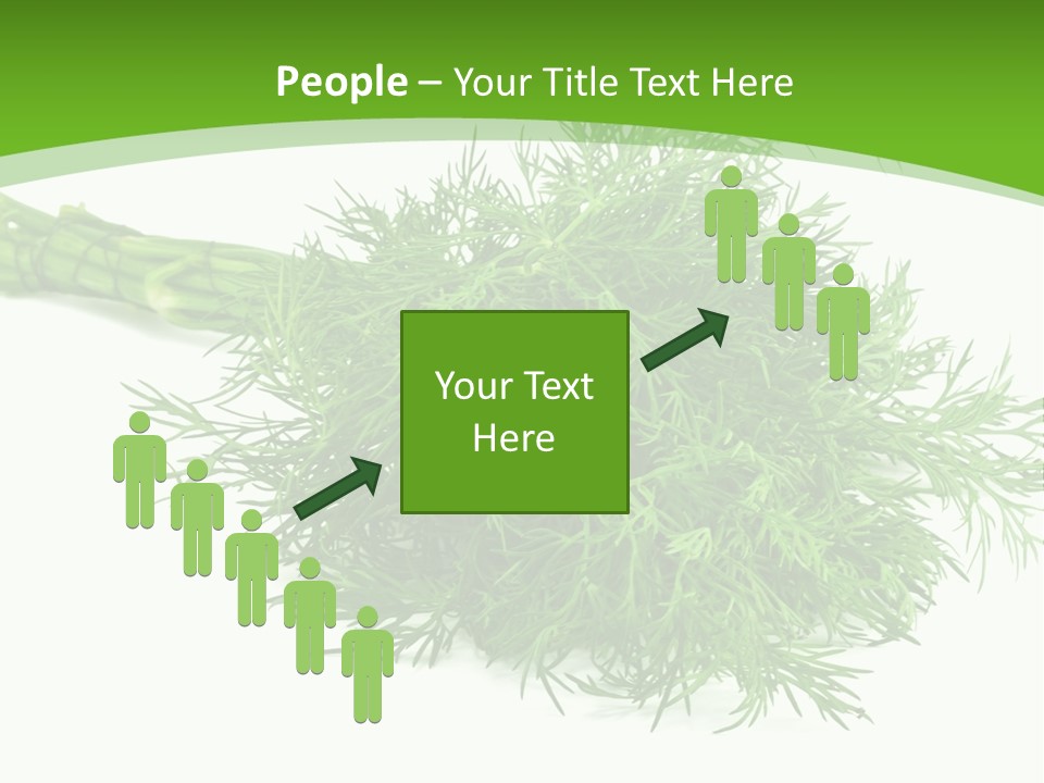A Bunch Of Green Herbs On A White Background PowerPoint Template