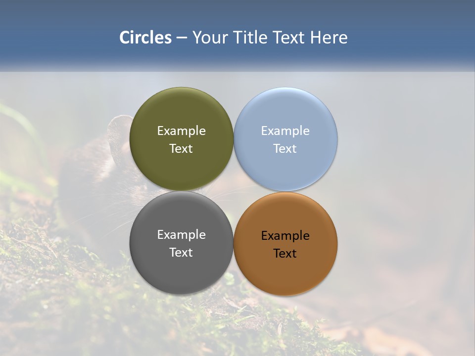 A Mouse Sitting On Top Of A Moss Covered Ground PowerPoint Template