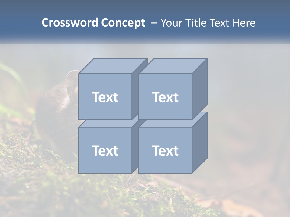 A Mouse Sitting On Top Of A Moss Covered Ground PowerPoint Template