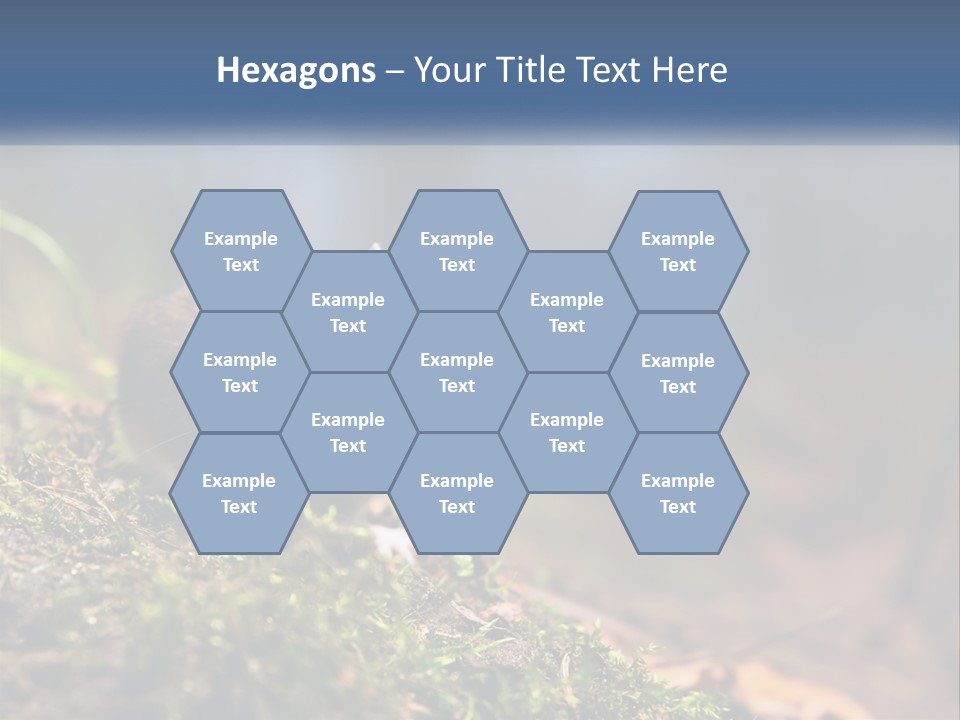 A Mouse Sitting On Top Of A Moss Covered Ground PowerPoint Template