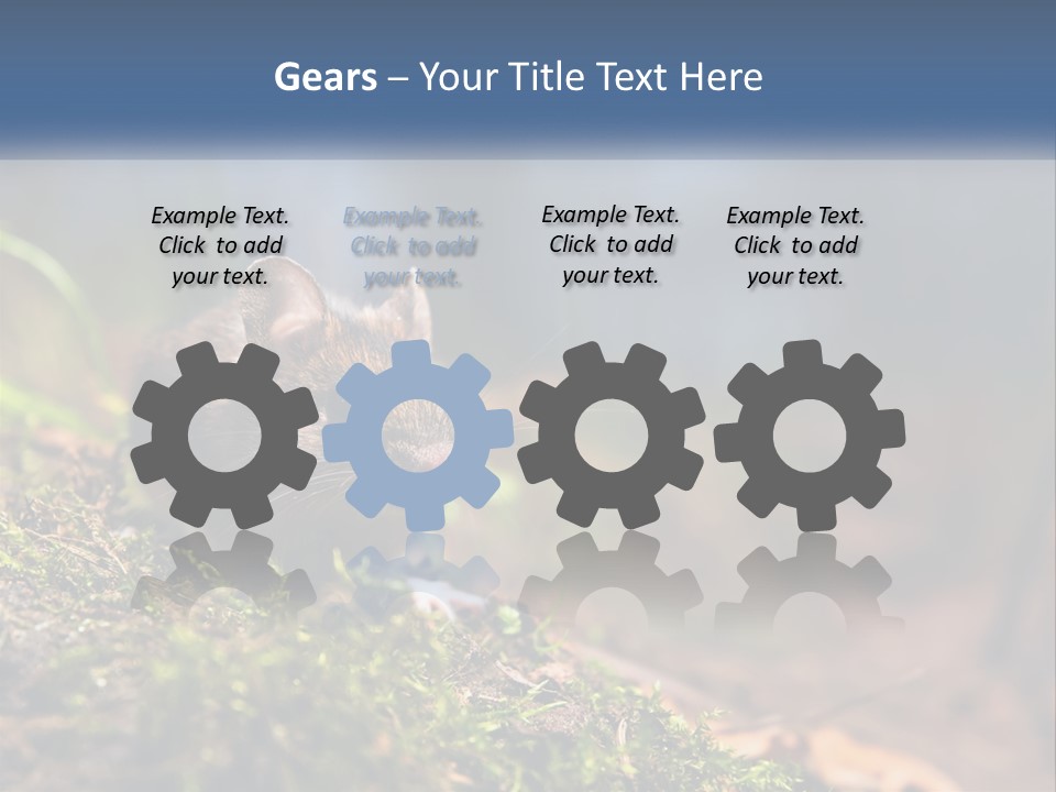 A Mouse Sitting On Top Of A Moss Covered Ground PowerPoint Template