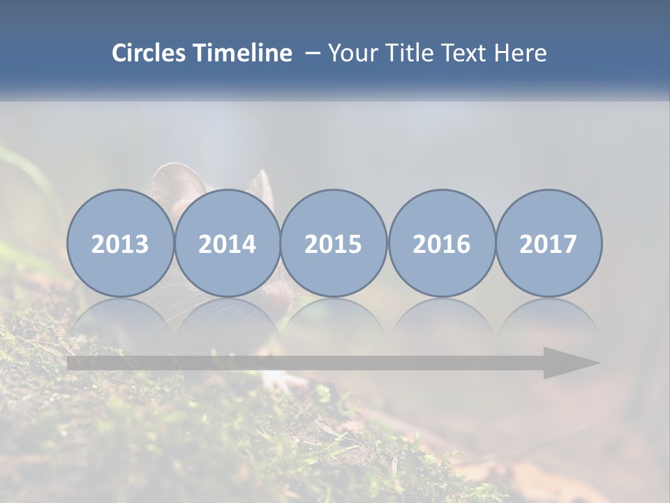 A Mouse Sitting On Top Of A Moss Covered Ground PowerPoint Template