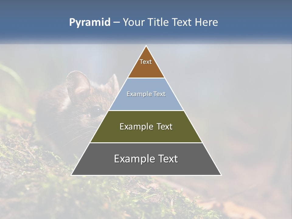 A Mouse Sitting On Top Of A Moss Covered Ground PowerPoint Template