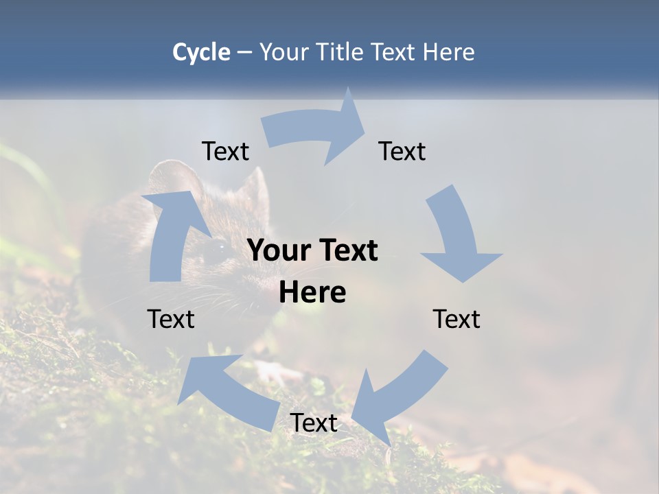 A Mouse Sitting On Top Of A Moss Covered Ground PowerPoint Template