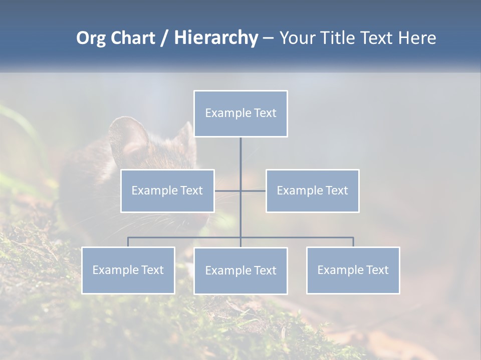A Mouse Sitting On Top Of A Moss Covered Ground PowerPoint Template