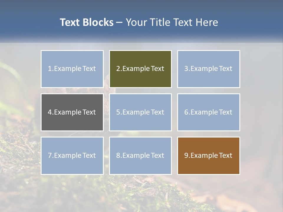 A Mouse Sitting On Top Of A Moss Covered Ground PowerPoint Template