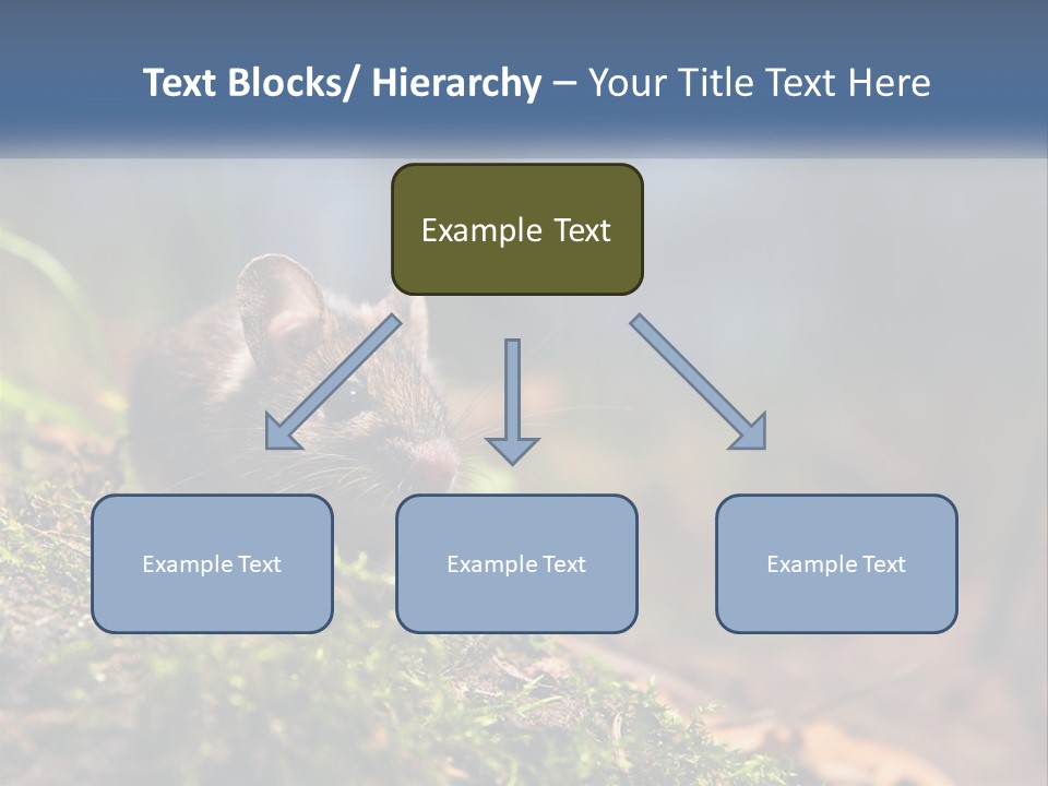 A Mouse Sitting On Top Of A Moss Covered Ground PowerPoint Template