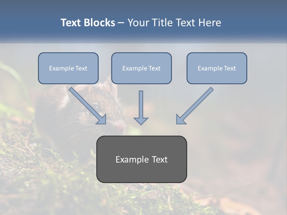 A Mouse Sitting On Top Of A Moss Covered Ground PowerPoint Template