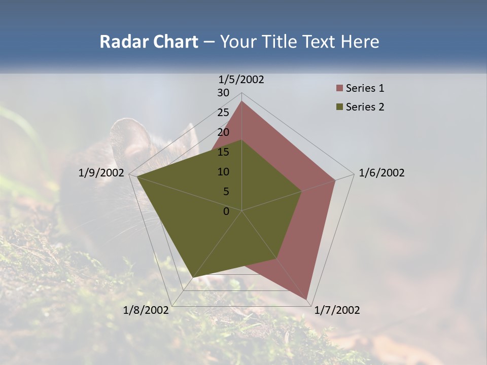 A Mouse Sitting On Top Of A Moss Covered Ground PowerPoint Template