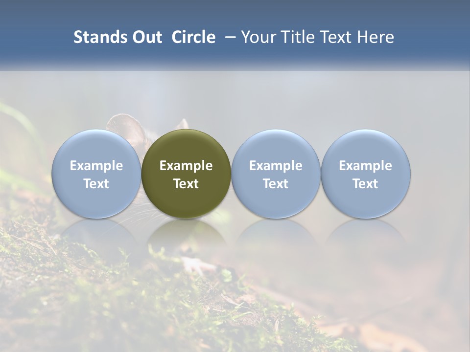 A Mouse Sitting On Top Of A Moss Covered Ground PowerPoint Template