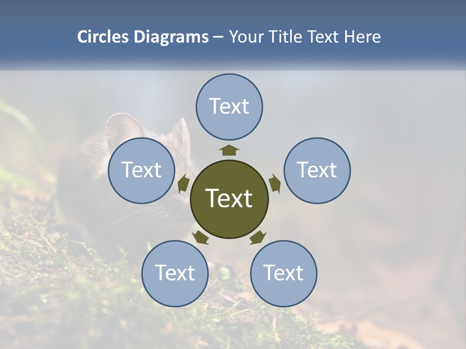 A Mouse Sitting On Top Of A Moss Covered Ground PowerPoint Template