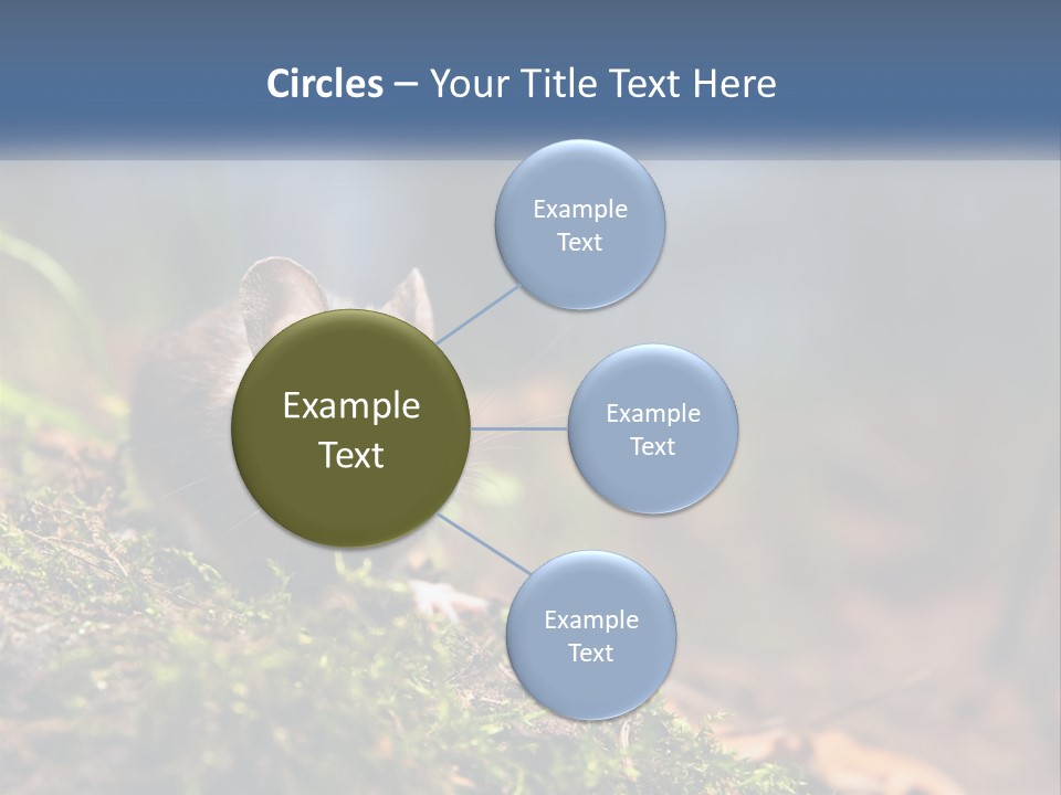 A Mouse Sitting On Top Of A Moss Covered Ground PowerPoint Template