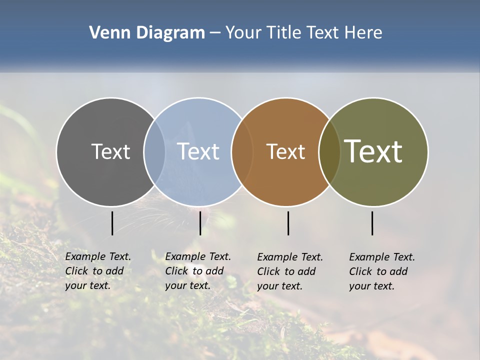 A Mouse Sitting On Top Of A Moss Covered Ground PowerPoint Template