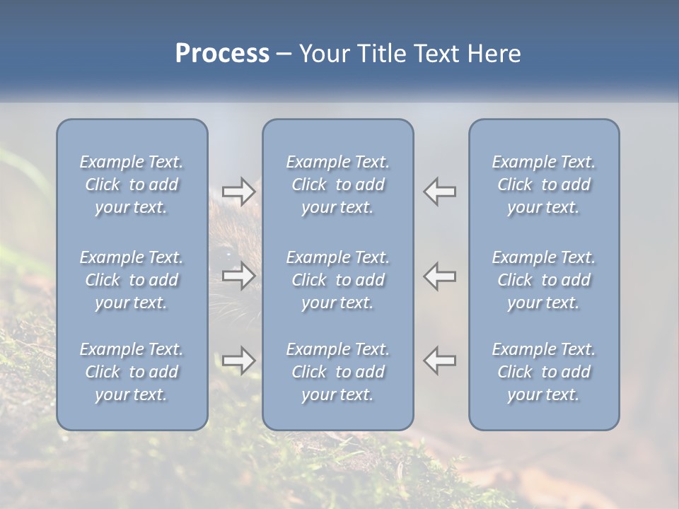A Mouse Sitting On Top Of A Moss Covered Ground PowerPoint Template