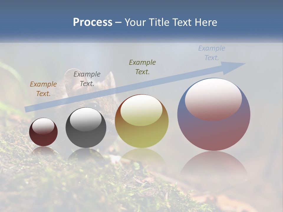 A Mouse Sitting On Top Of A Moss Covered Ground PowerPoint Template