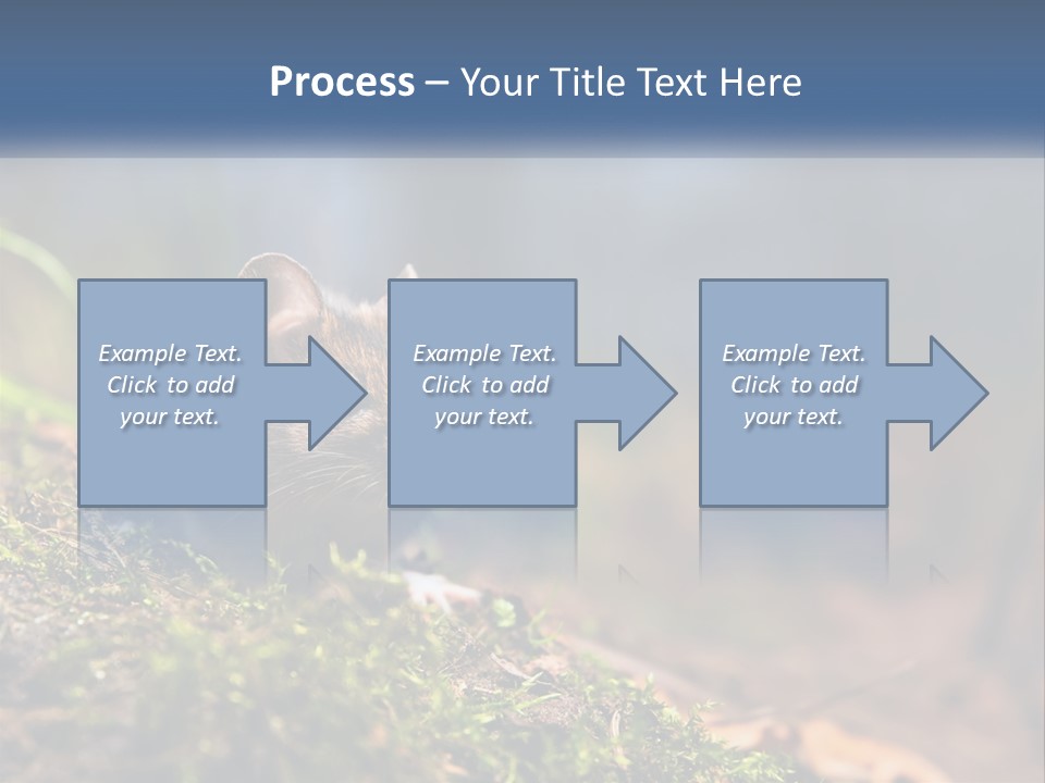 A Mouse Sitting On Top Of A Moss Covered Ground PowerPoint Template