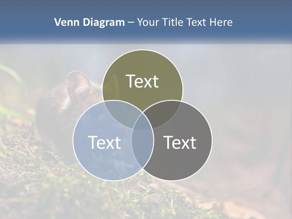 A Mouse Sitting On Top Of A Moss Covered Ground PowerPoint Template