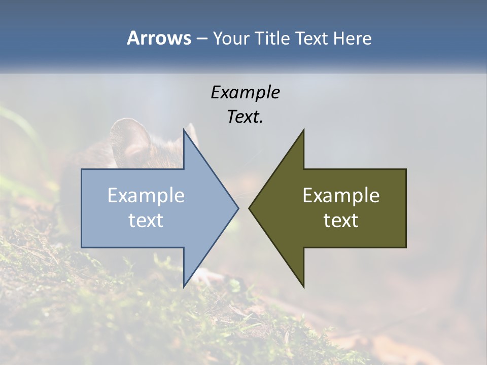 A Mouse Sitting On Top Of A Moss Covered Ground PowerPoint Template