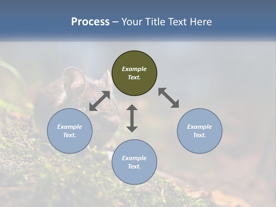 A Mouse Sitting On Top Of A Moss Covered Ground PowerPoint Template