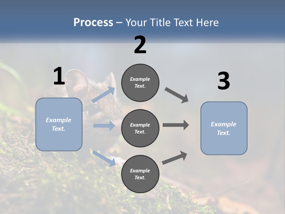 A Mouse Sitting On Top Of A Moss Covered Ground PowerPoint Template