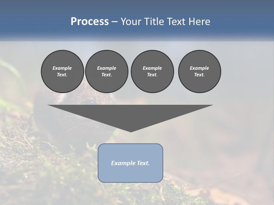 A Mouse Sitting On Top Of A Moss Covered Ground PowerPoint Template