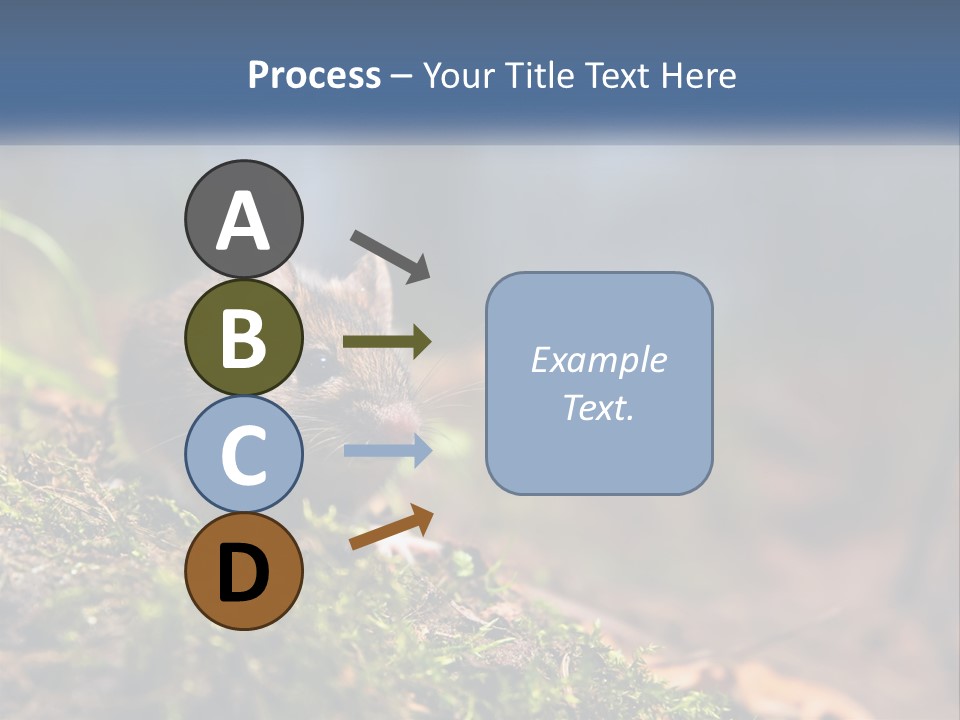 A Mouse Sitting On Top Of A Moss Covered Ground PowerPoint Template