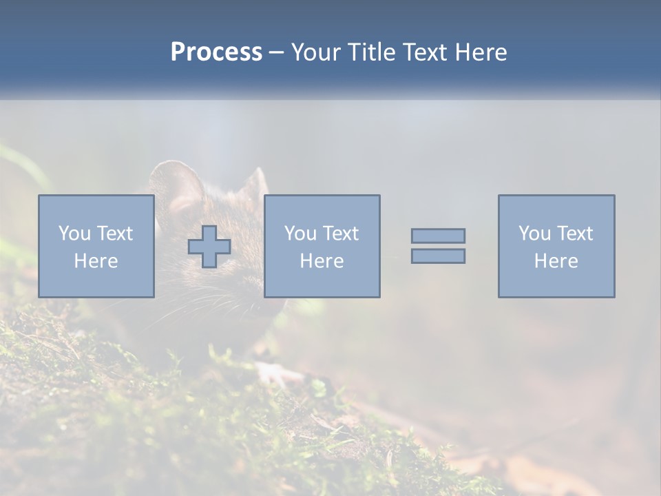 A Mouse Sitting On Top Of A Moss Covered Ground PowerPoint Template