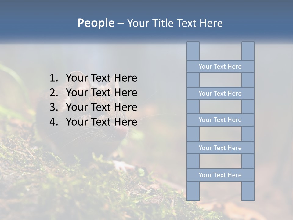 A Mouse Sitting On Top Of A Moss Covered Ground PowerPoint Template