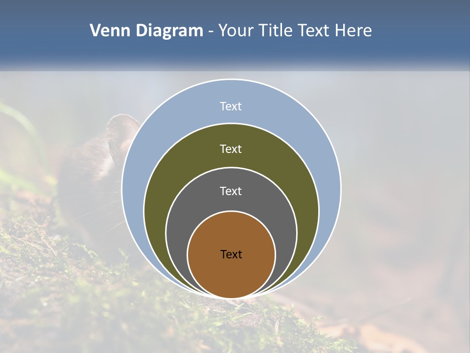 A Mouse Sitting On Top Of A Moss Covered Ground PowerPoint Template
