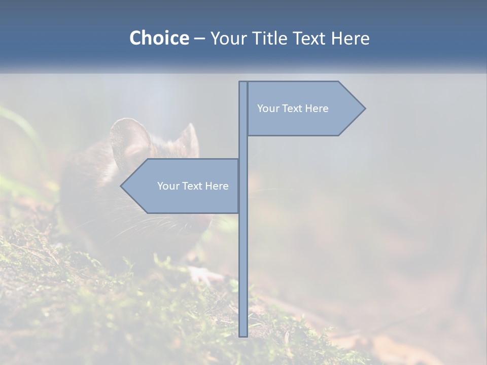 A Mouse Sitting On Top Of A Moss Covered Ground PowerPoint Template
