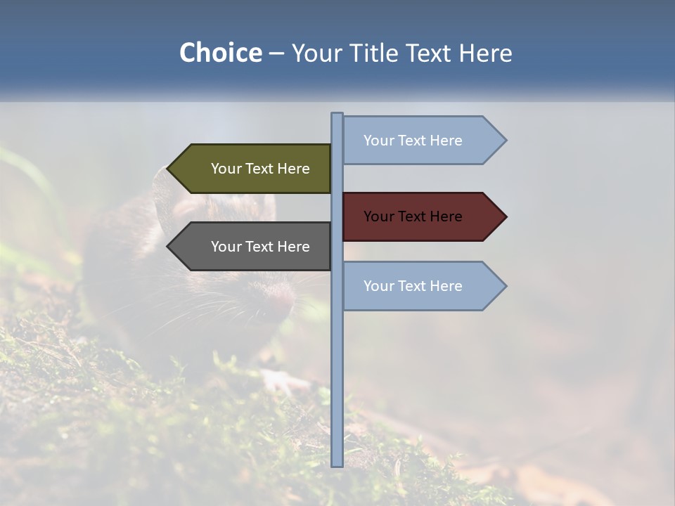 A Mouse Sitting On Top Of A Moss Covered Ground PowerPoint Template