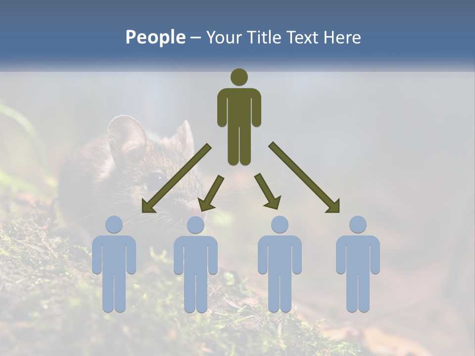 A Mouse Sitting On Top Of A Moss Covered Ground PowerPoint Template