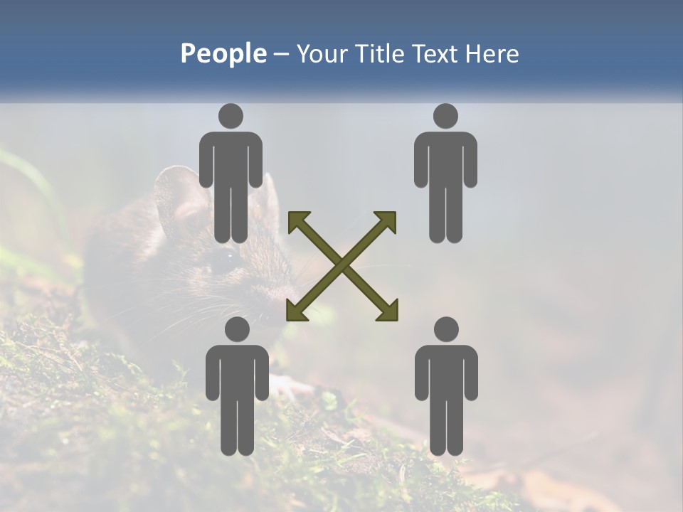 A Mouse Sitting On Top Of A Moss Covered Ground PowerPoint Template