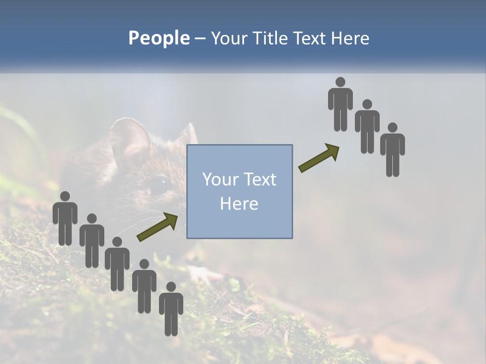 A Mouse Sitting On Top Of A Moss Covered Ground PowerPoint Template