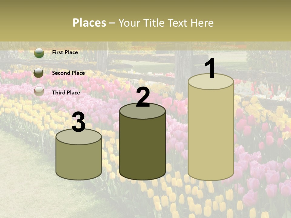 A Field Of Flowers With A Fence In The Background PowerPoint Template