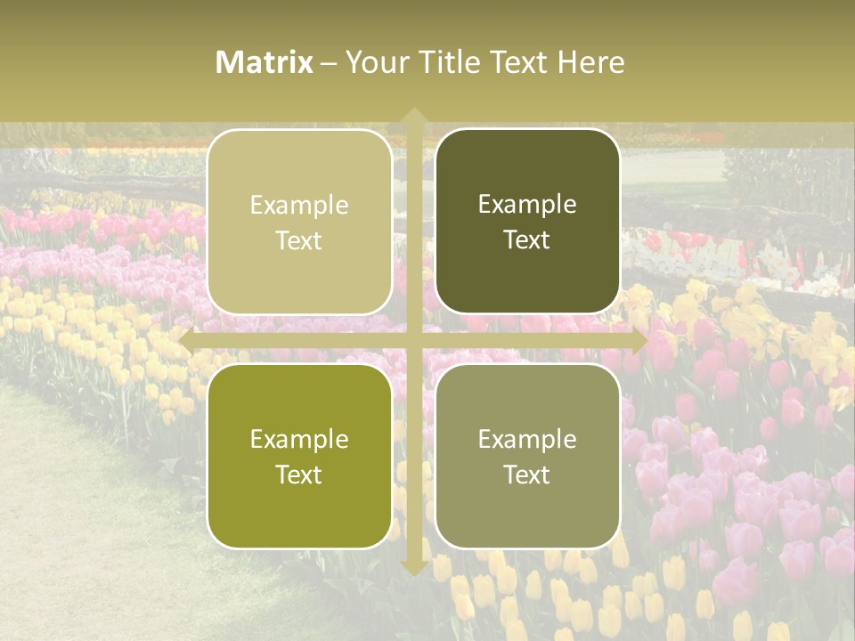 A Field Of Flowers With A Fence In The Background PowerPoint Template