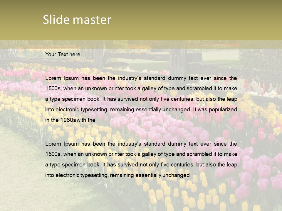 A Field Of Flowers With A Fence In The Background PowerPoint Template