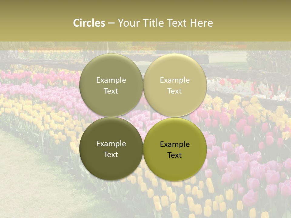 A Field Of Flowers With A Fence In The Background PowerPoint Template