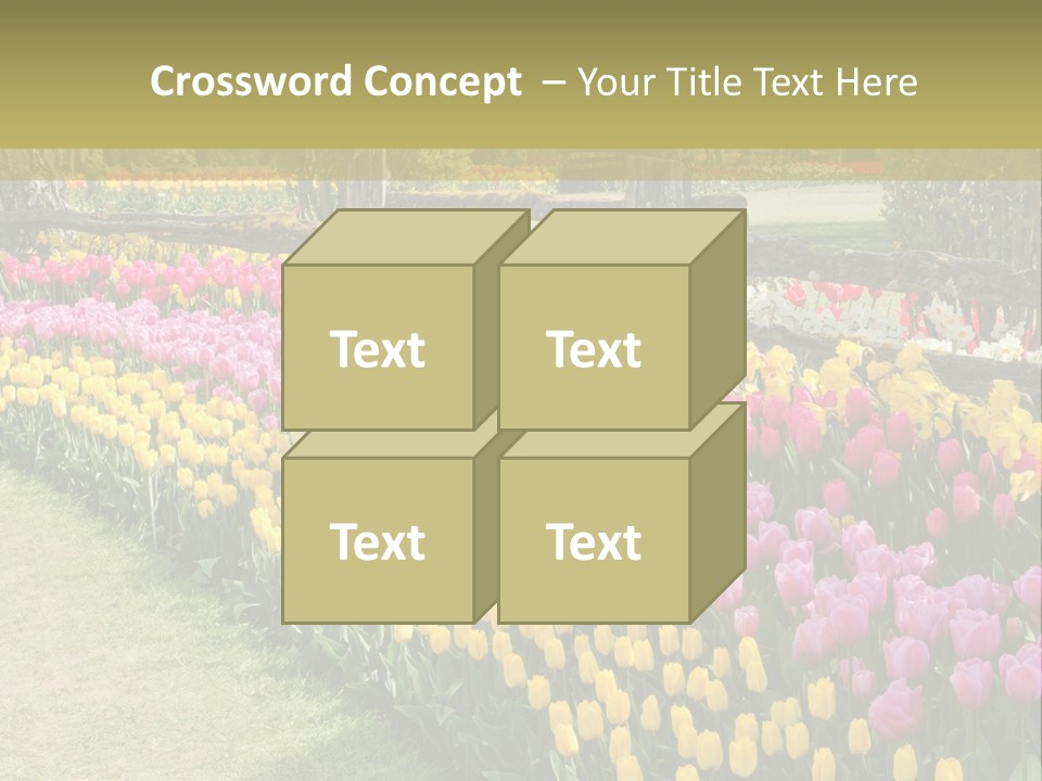 A Field Of Flowers With A Fence In The Background PowerPoint Template