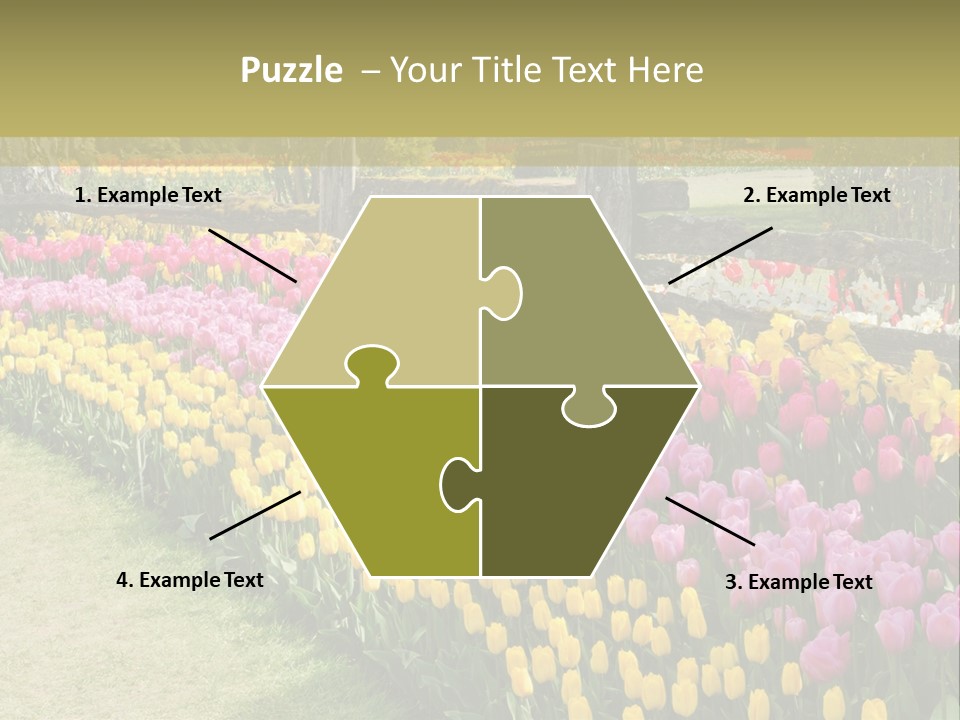 A Field Of Flowers With A Fence In The Background PowerPoint Template