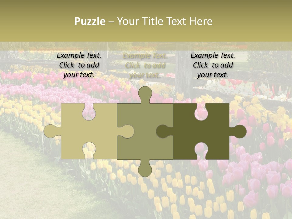 A Field Of Flowers With A Fence In The Background PowerPoint Template