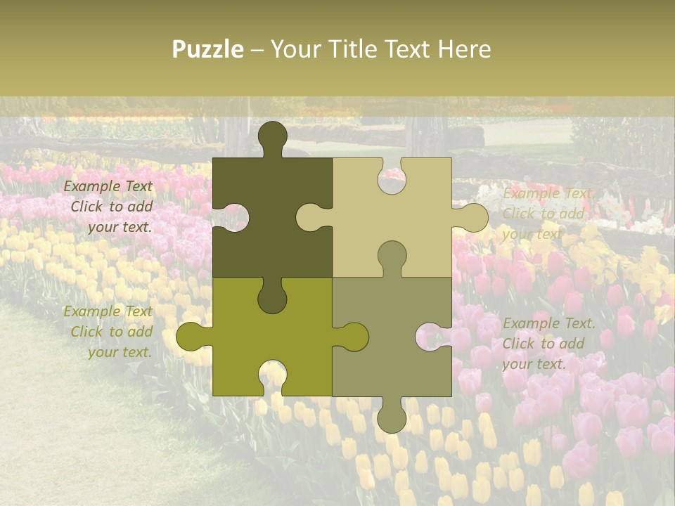 A Field Of Flowers With A Fence In The Background PowerPoint Template