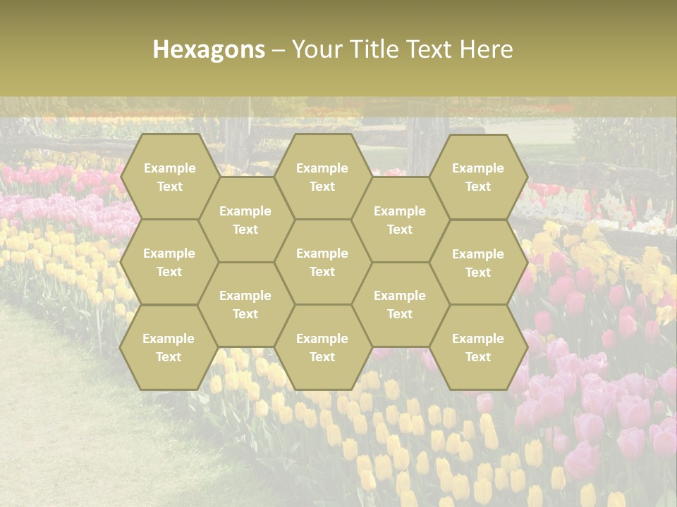A Field Of Flowers With A Fence In The Background PowerPoint Template