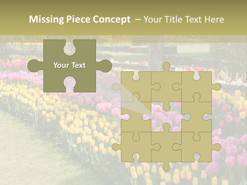 A Field Of Flowers With A Fence In The Background PowerPoint Template