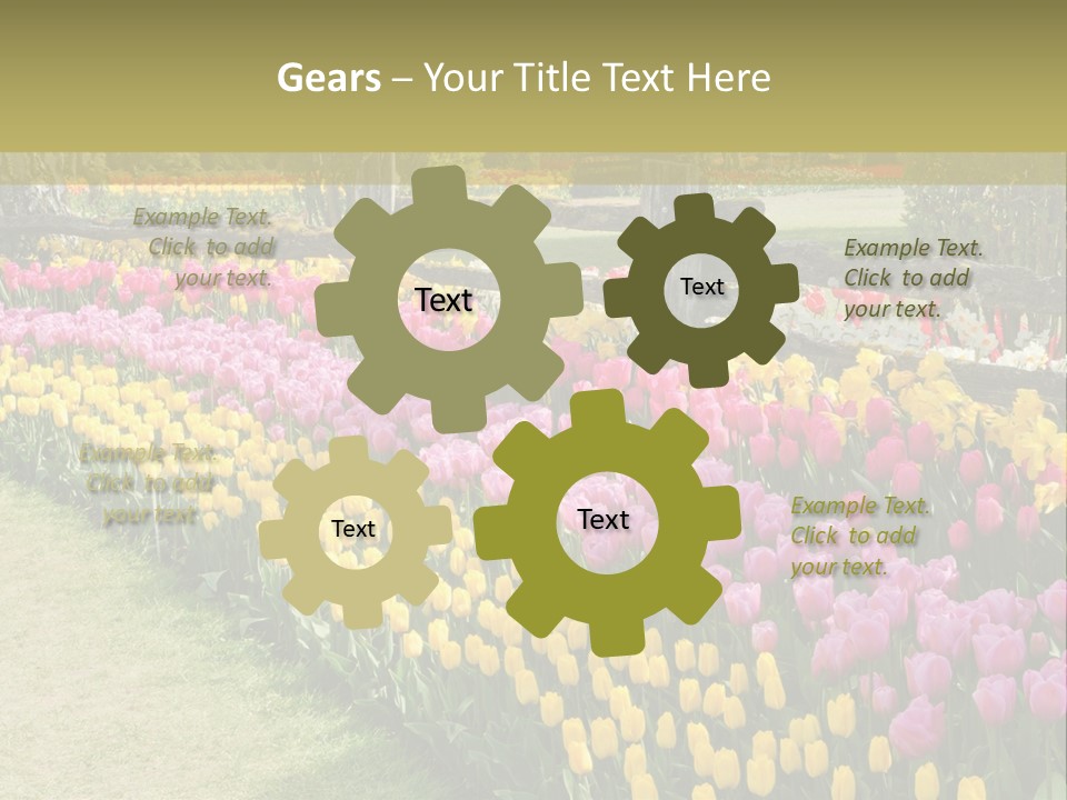 A Field Of Flowers With A Fence In The Background PowerPoint Template