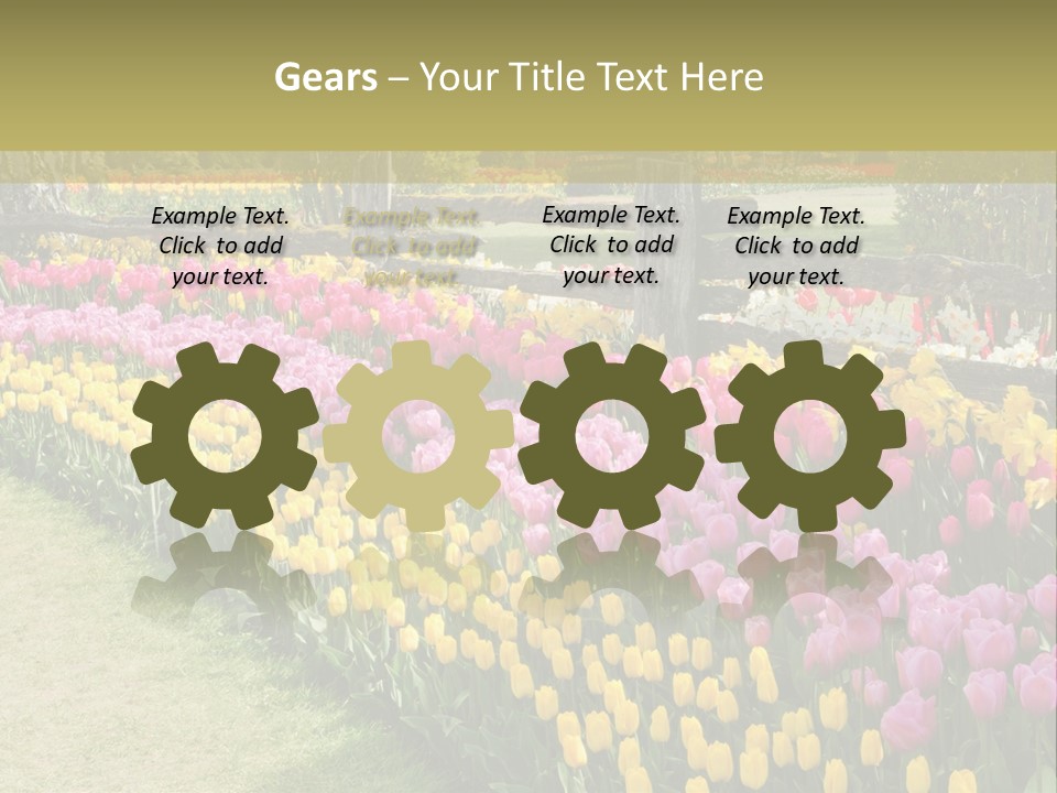 A Field Of Flowers With A Fence In The Background PowerPoint Template