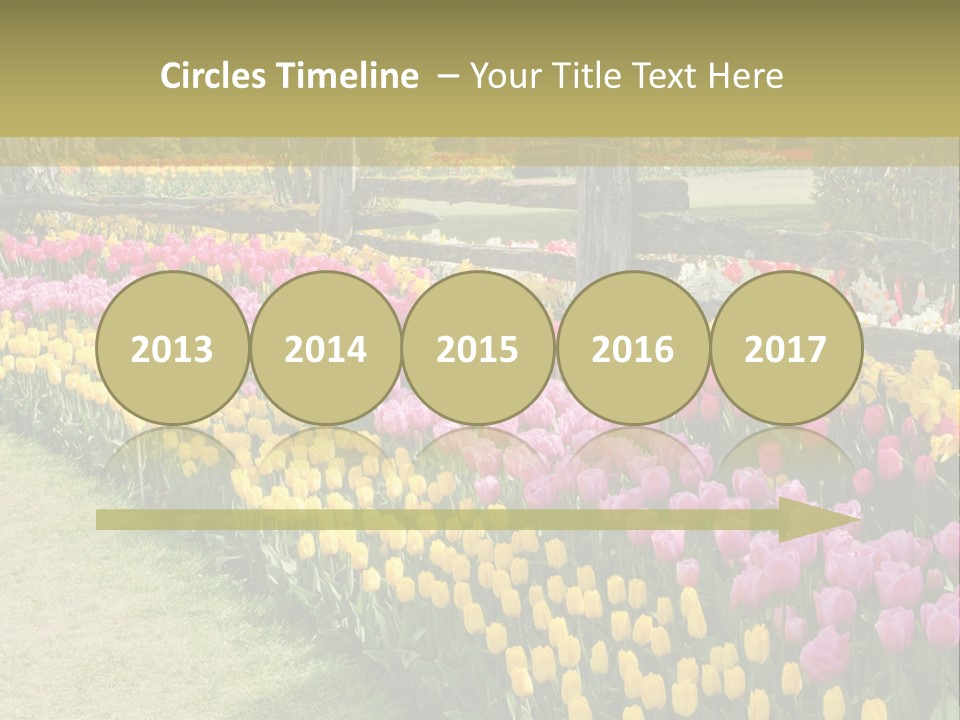 A Field Of Flowers With A Fence In The Background PowerPoint Template