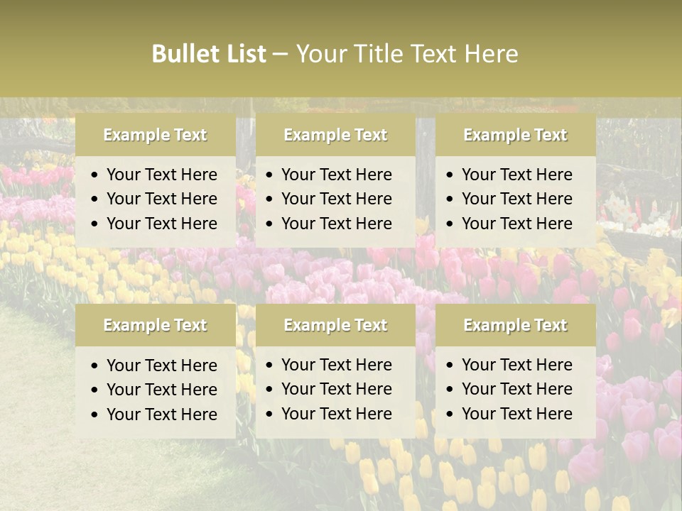A Field Of Flowers With A Fence In The Background PowerPoint Template